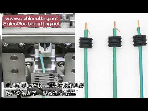เครื่องตัด ปอกสายไฟ และ crimp ขั้วต่ออัตโนมัติ พร้อมระบบสวมซีล | เพิ่มประสิทธิภาพการผลิต