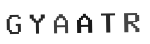 Verification Code Image
